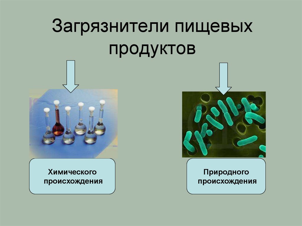 Загрязнители пищевых продуктов