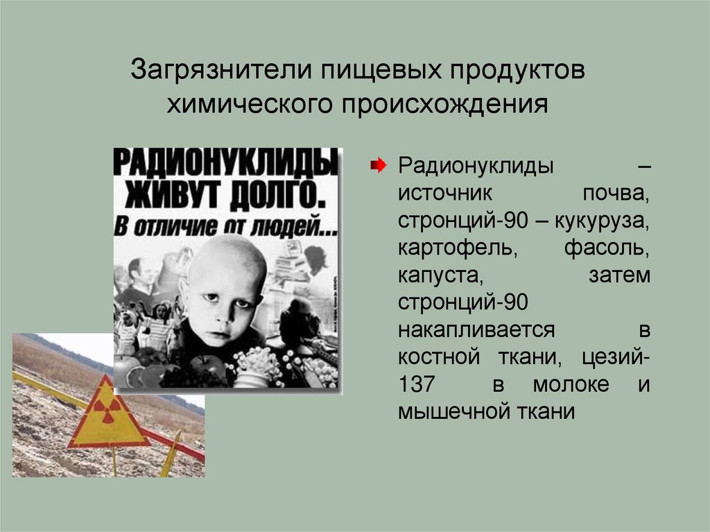 Загрязнители пищевых продуктов химического происхождения