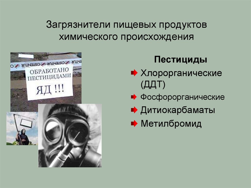 Загрязнители пищевых продуктов химического происхождения