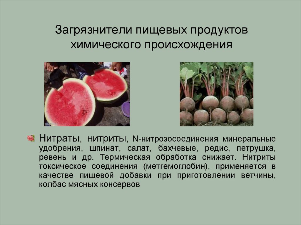 Загрязнители пищевых продуктов химического происхождения