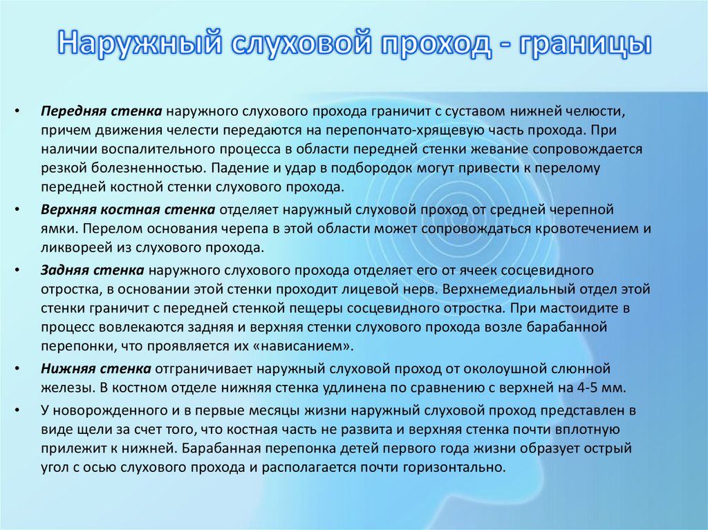 Наружный слуховой проход - границы