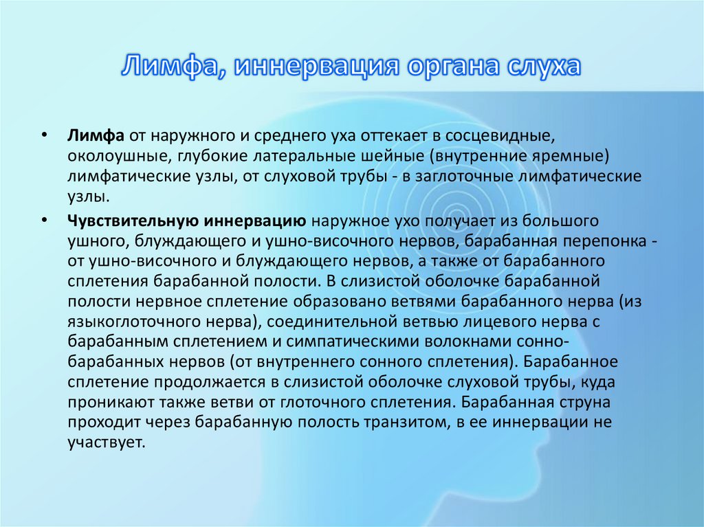 Кровоснабжение органа слуха