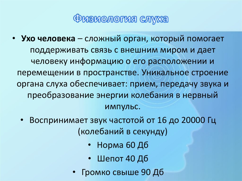 Физиология слуха