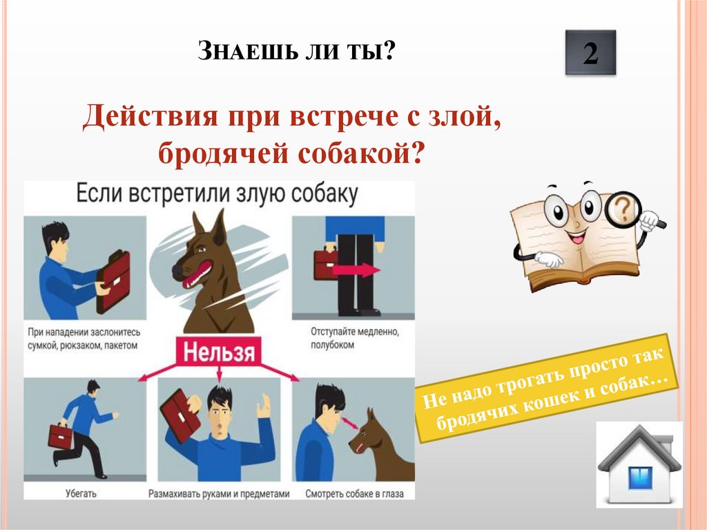 Знаешь ли ты?