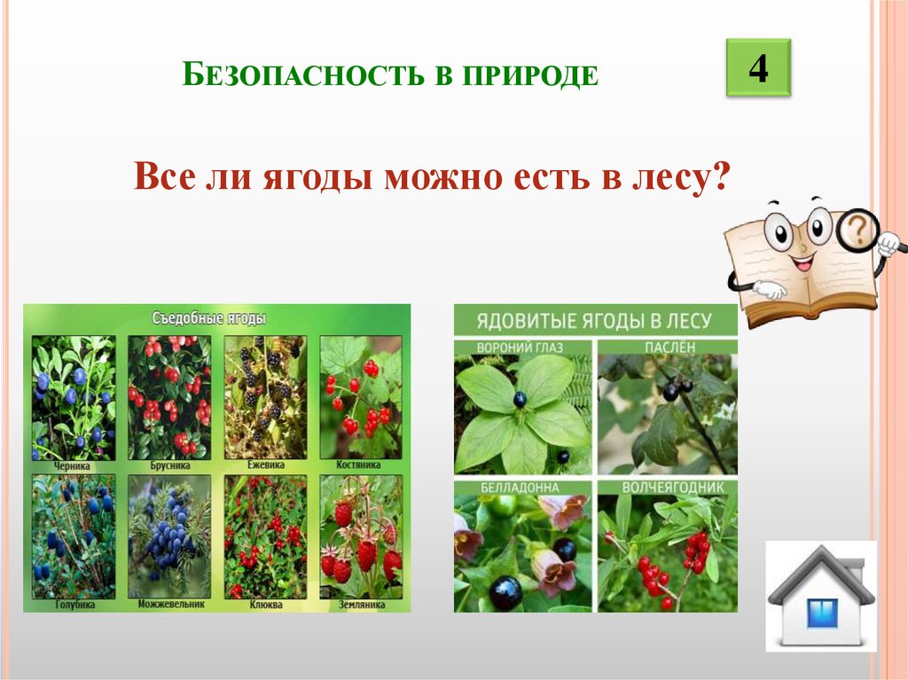 Безопасность в природе