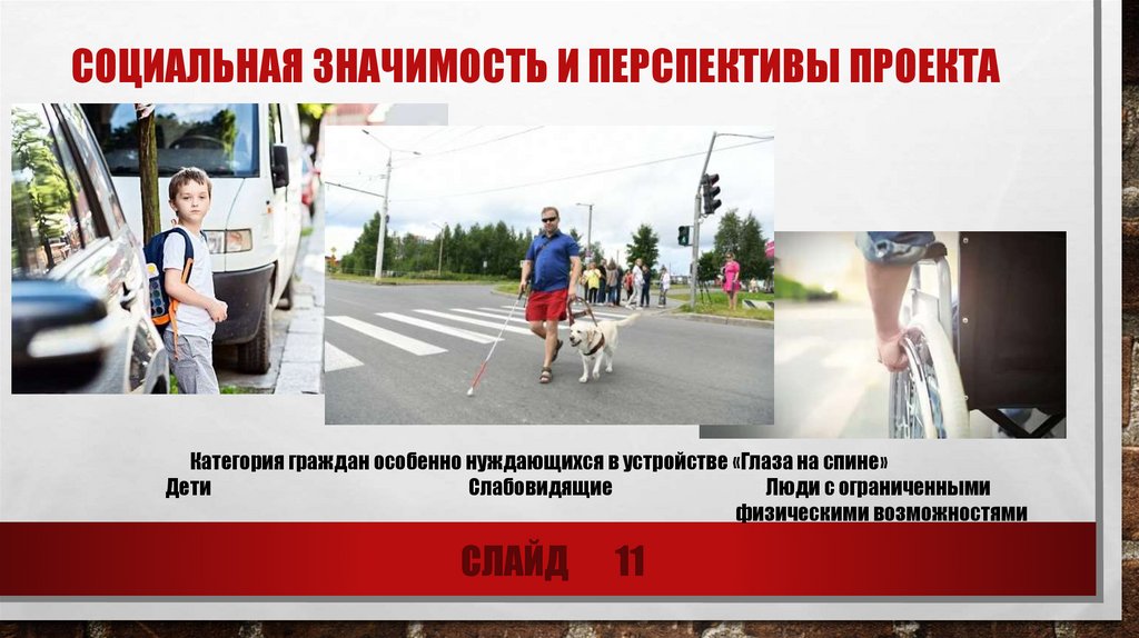 Социальная значимость и Перспективы проекта