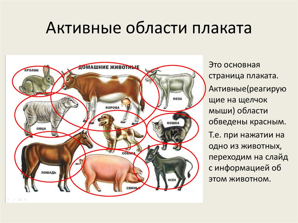 Активные области плаката