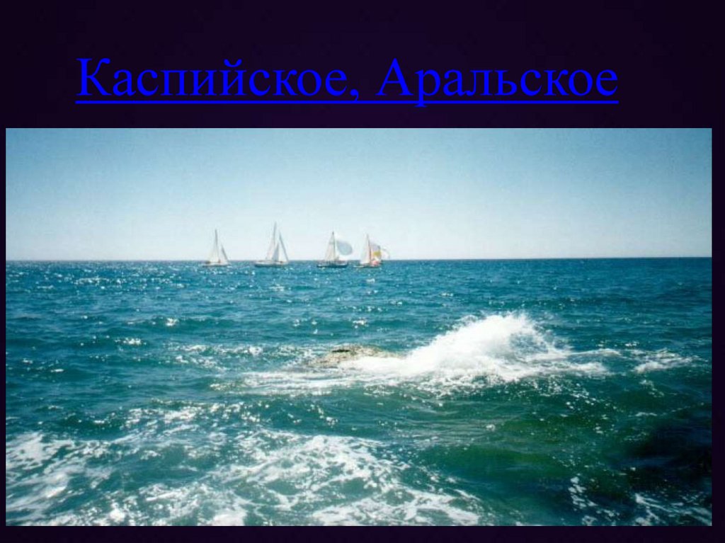 Каспийское, Аральское