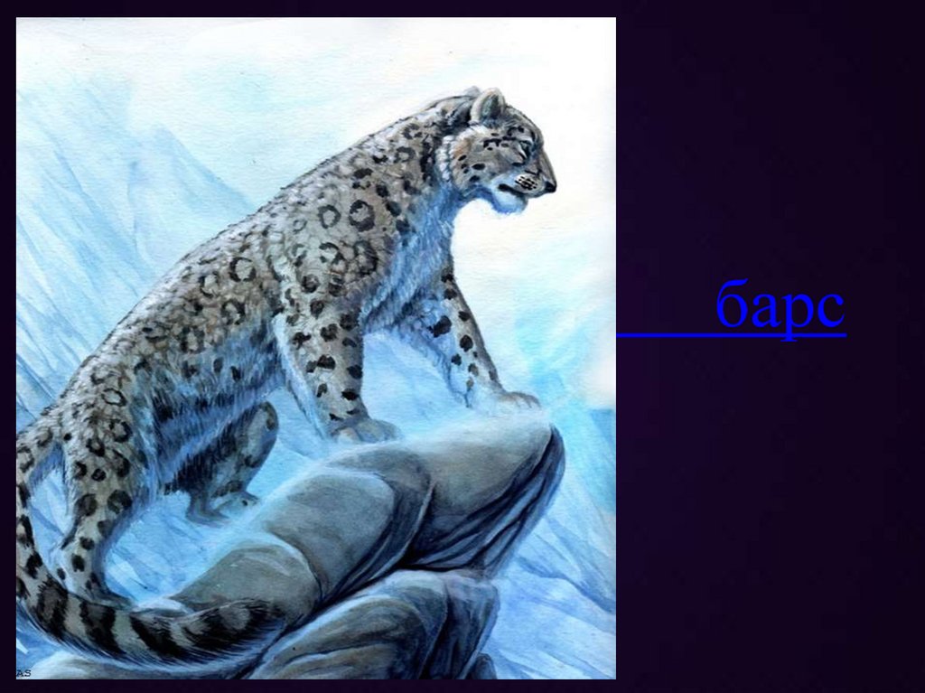 барс