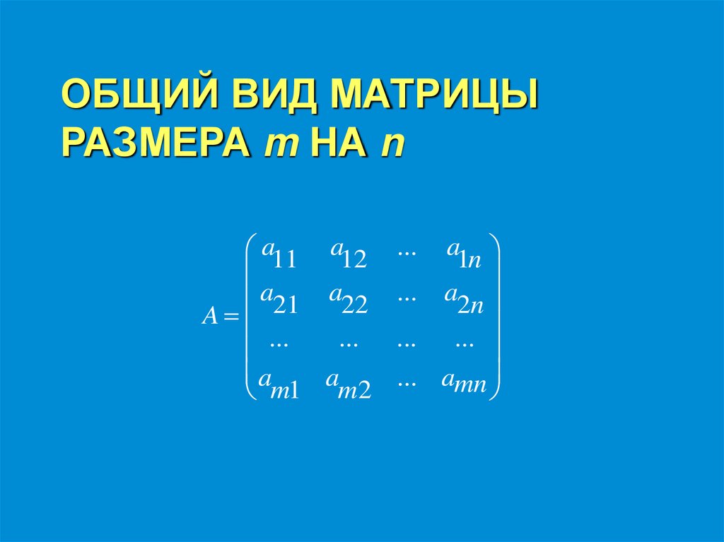 ОБЩИЙ ВИД МАТРИЦЫ РАЗМЕРА m НА n