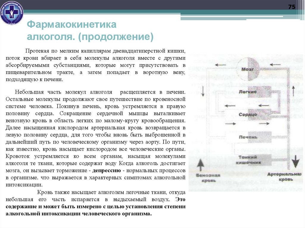 Фармакокинетика алкоголя. (продолжение)