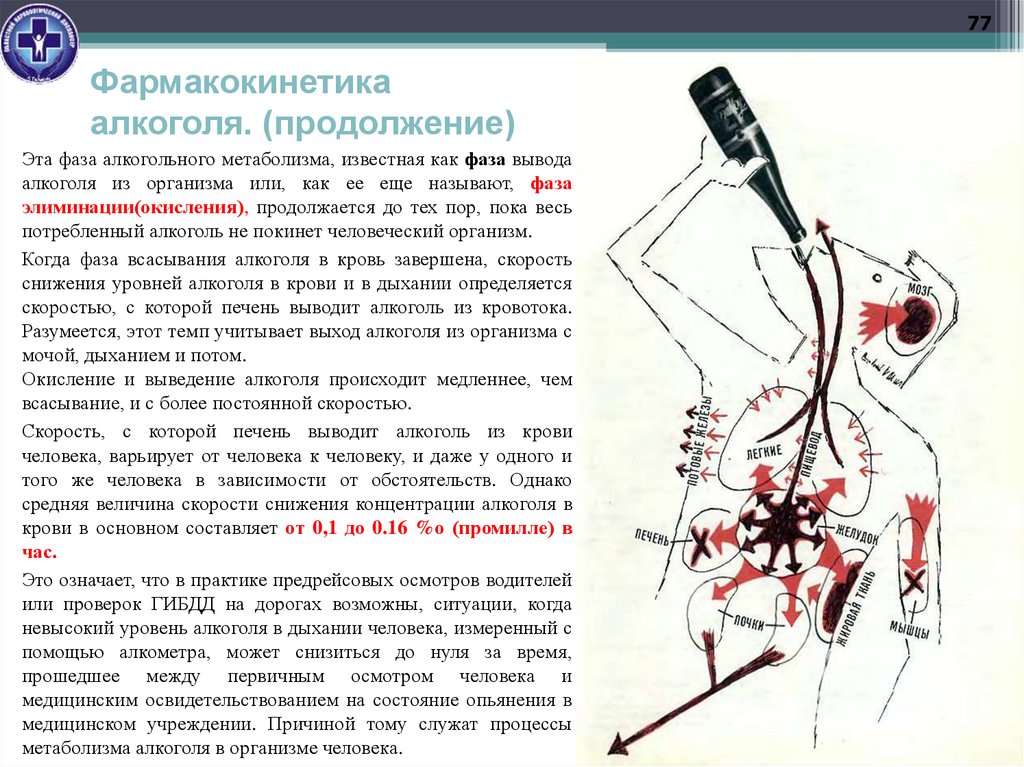 Фармакокинетика алкоголя. (продолжение)