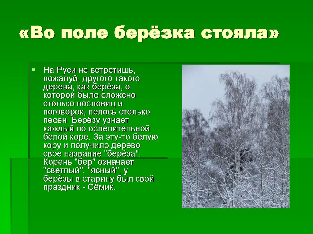 «Во поле берёзка стояла»