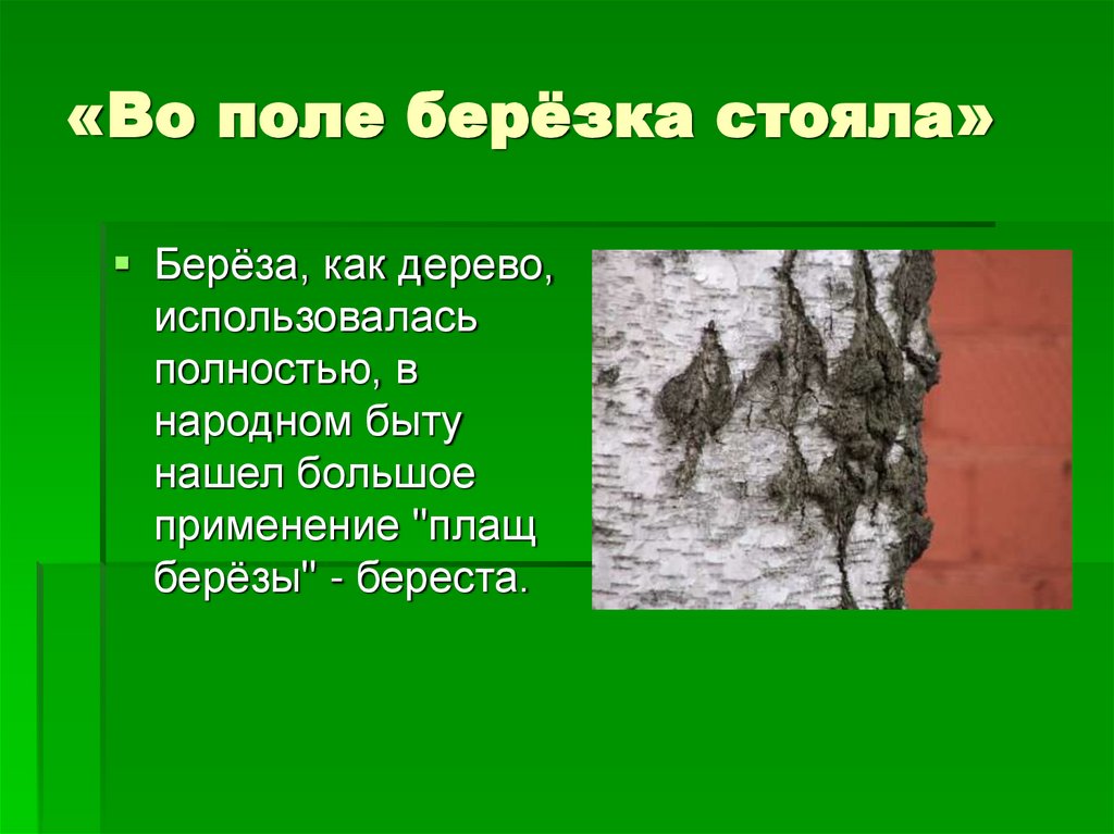 «Во поле берёзка стояла»