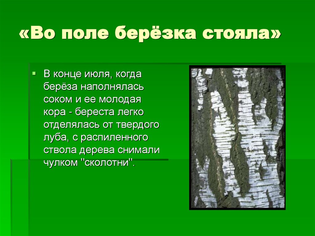 «Во поле берёзка стояла»