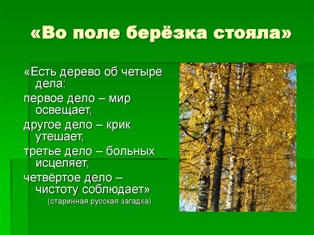 «Во поле берёзка стояла»