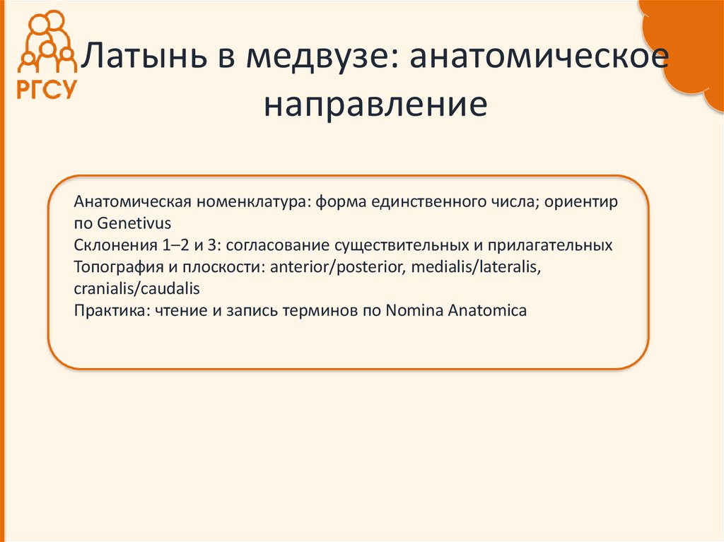 Латынь в медвузе: анатомическое направление