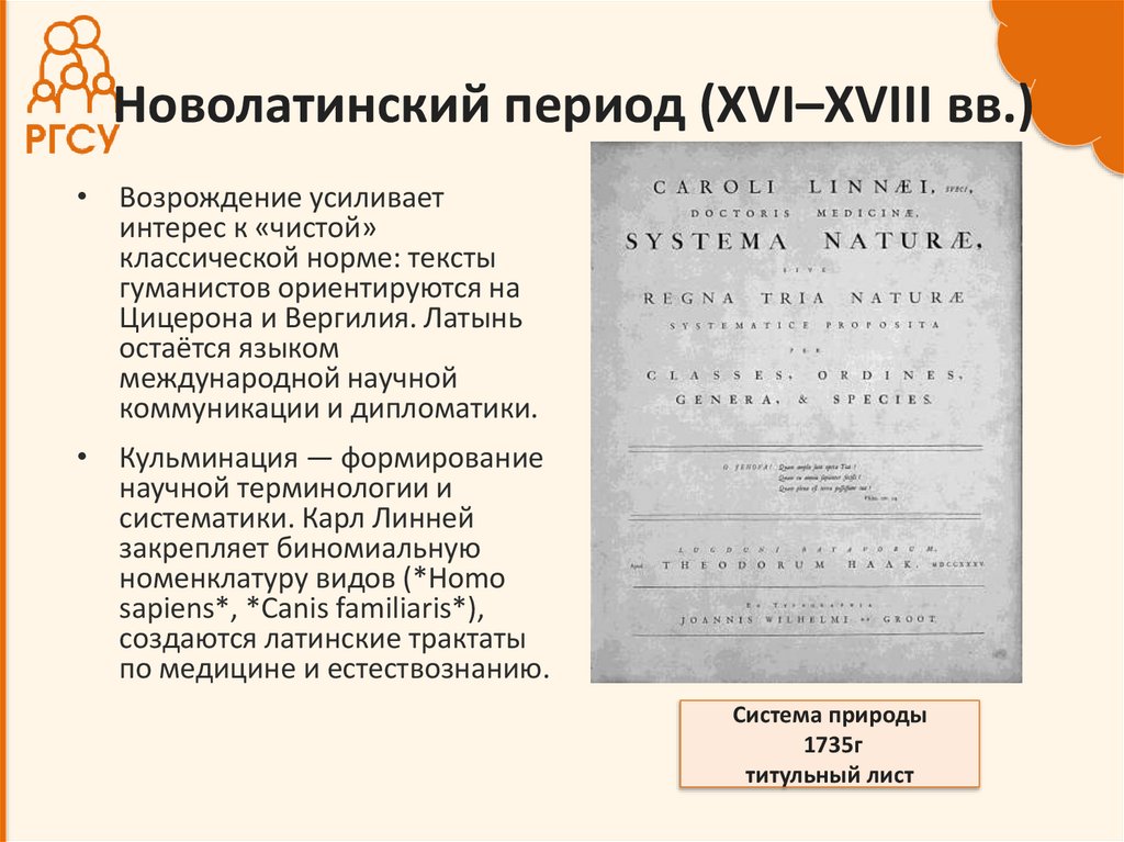 Новолатинский период (XVI–XVIII вв.)