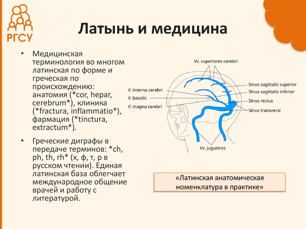 Латынь и медицина