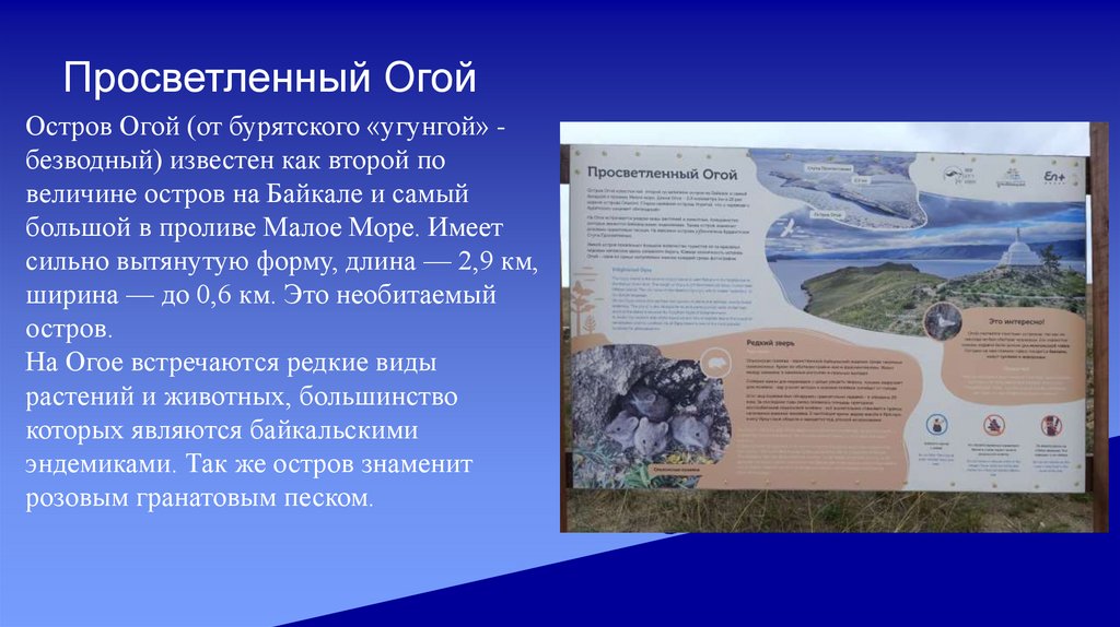 Просветленный Огой