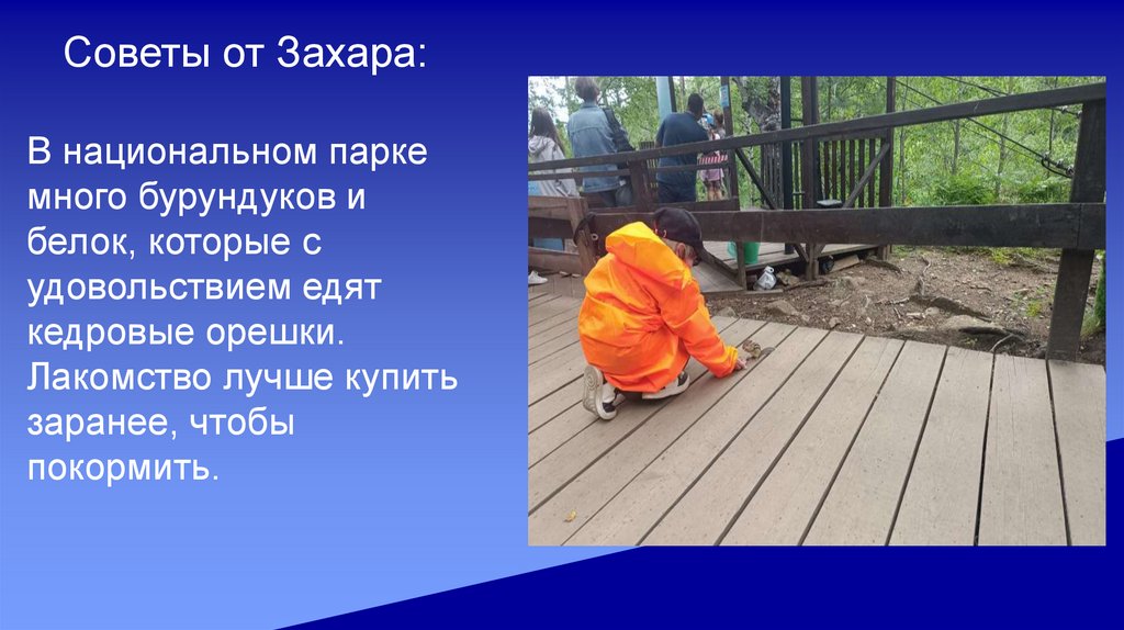 Советы от Захара: