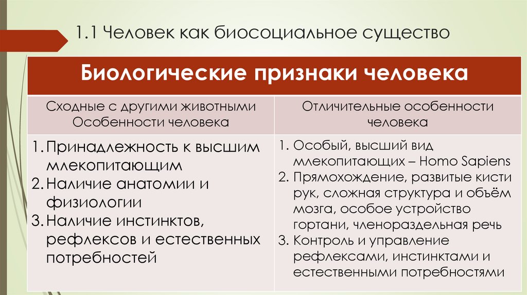 1.1 Человек как биосоциальное существо
