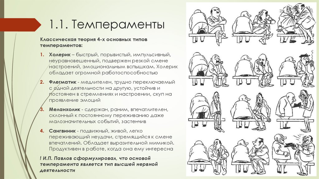 1.1. Темпераменты