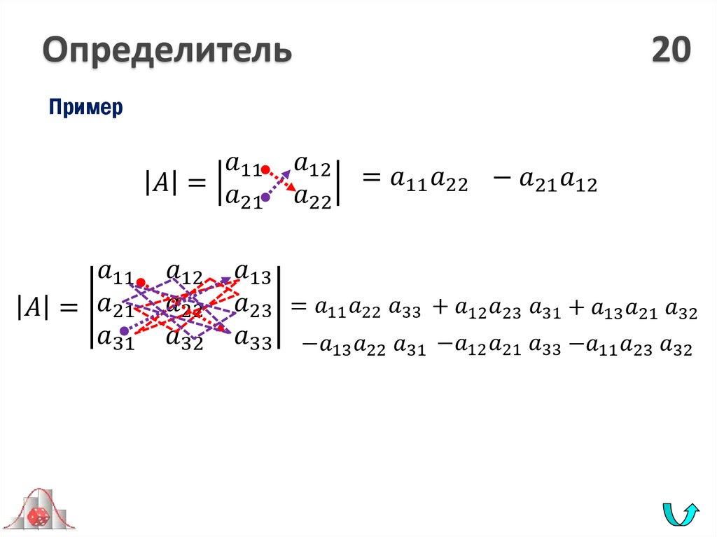 Определитель 20