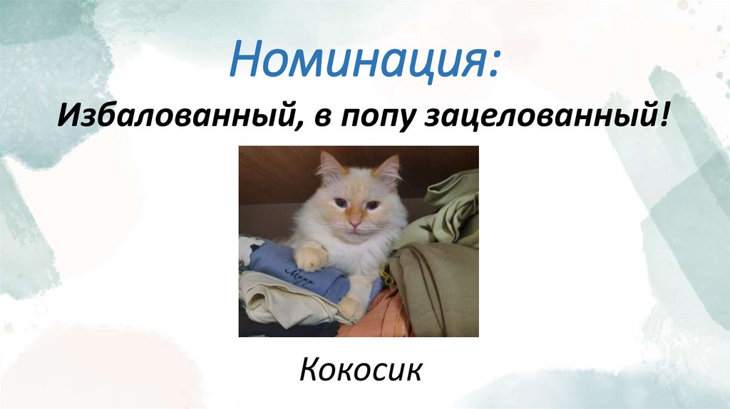 Номинация: