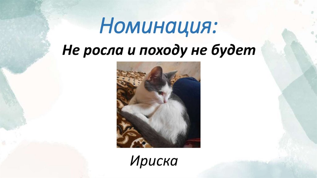 Номинация: