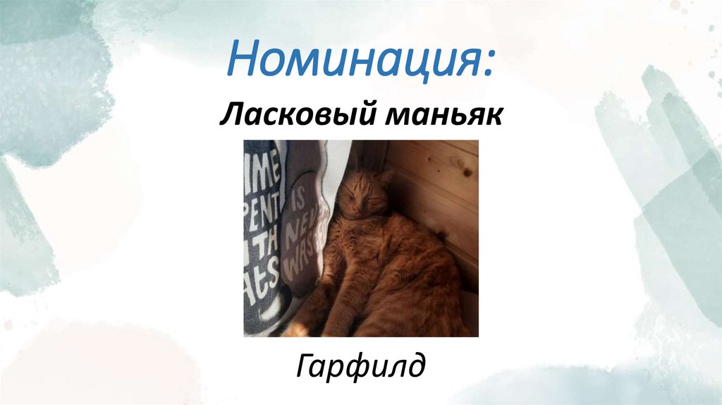 Номинация: