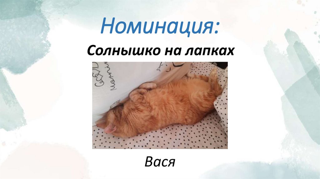 Номинация: