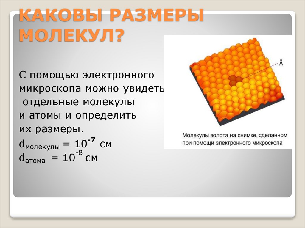 КАКОВЫ РАЗМЕРЫ МОЛЕКУЛ?