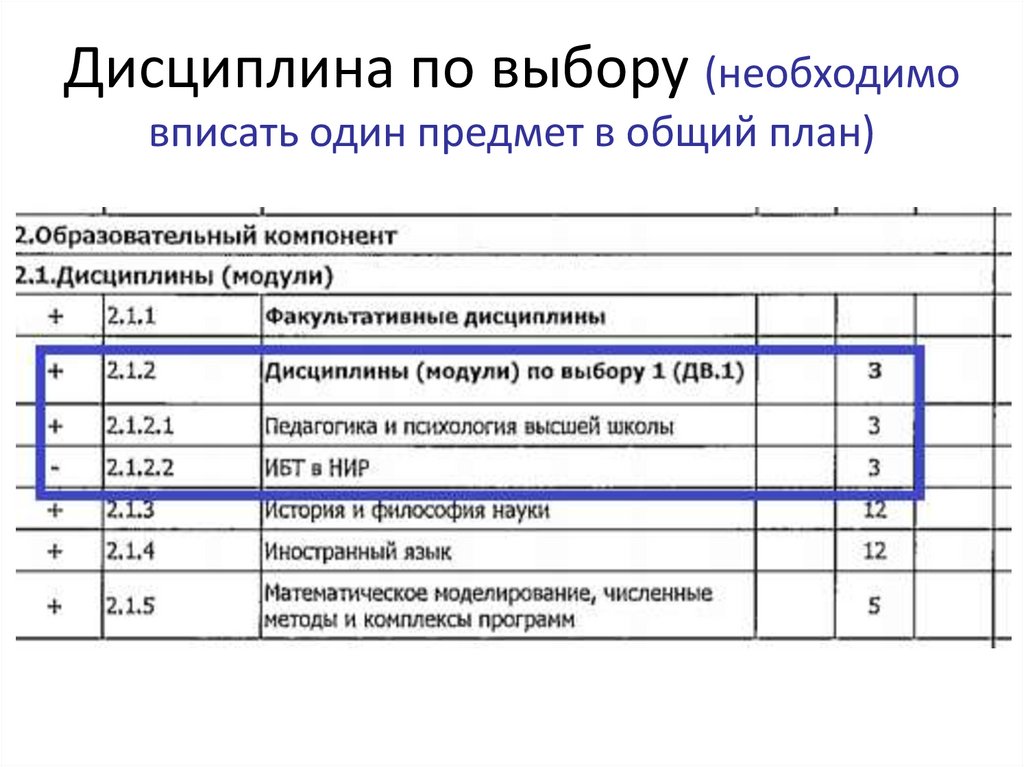 Дисциплина по выбору (необходимо вписать один предмет в общий план)