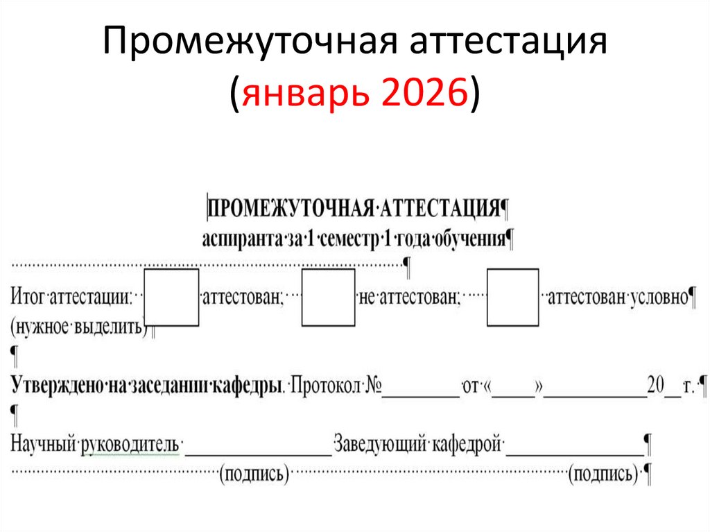 Промежуточная аттестация (январь 2026)