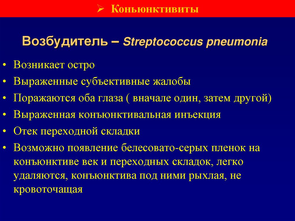 Возбудитель – Streptococcus pneumonia