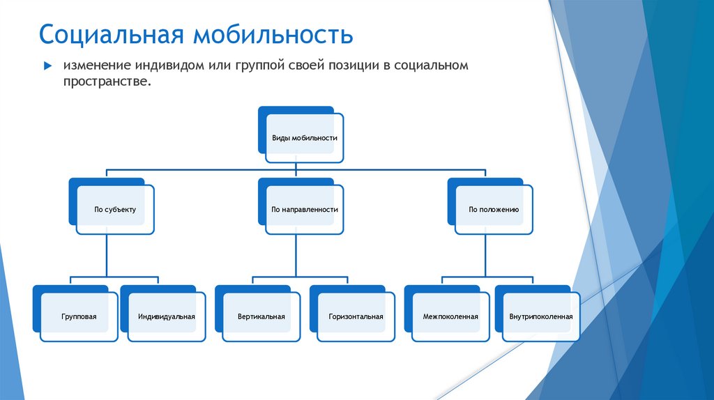 Социальная мобильность