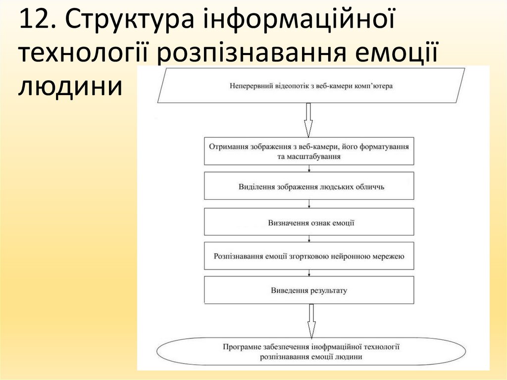 12. Структура інформаційної технології розпізнавання емоції людини