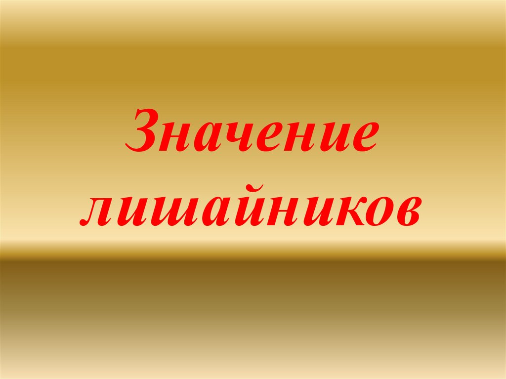 Значение лишайников