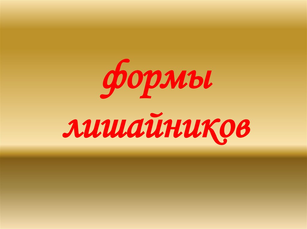 формы лишайников