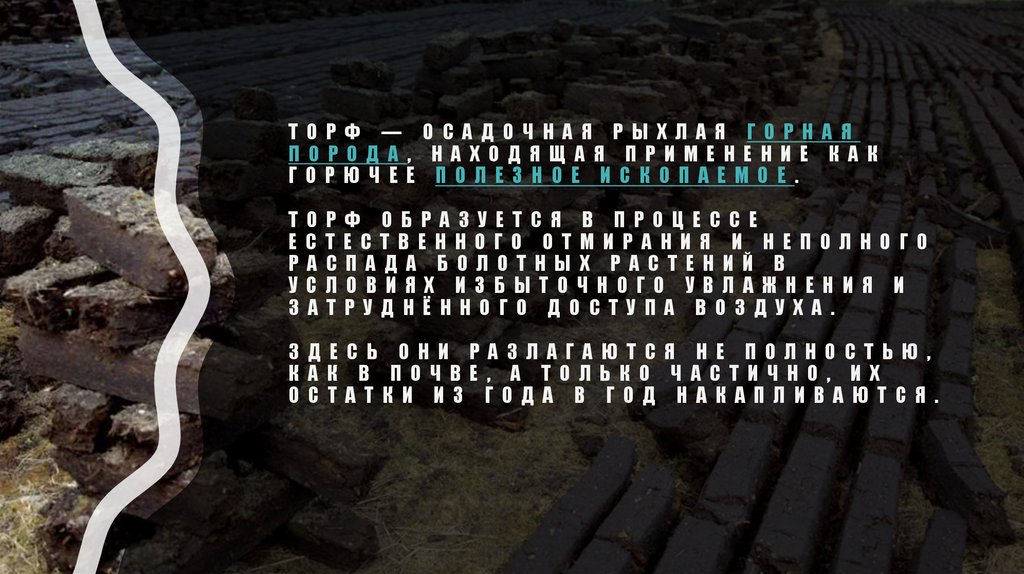 Торф — осадочная рыхлая горная порода, находящая применение как горючее полезное ископаемое. Торф образуется в процессе