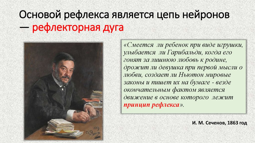 Основой рефлекса является цепь нейронов — рефлекторная дуга