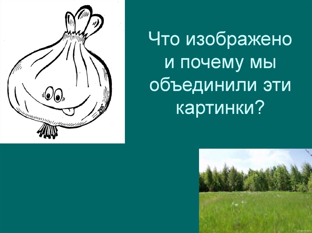 Что изображено и почему мы объединили эти картинки?