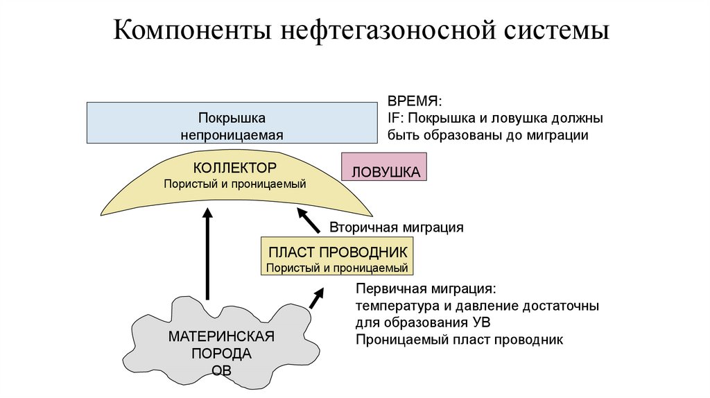 Компоненты нефтегазоносной системы
