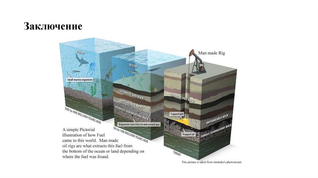 Заключение