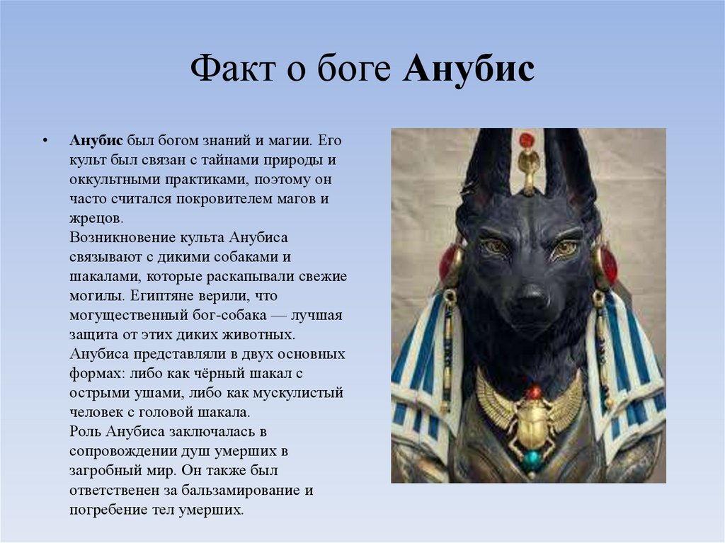 Факт о боге Анубис