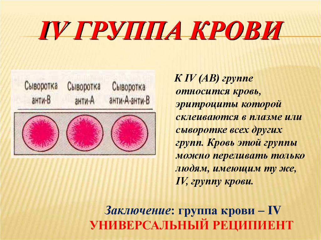 IV ГРУППА КРОВИ