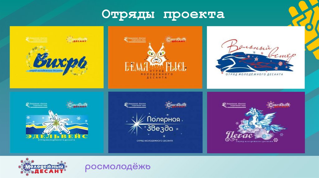 Отряды проекта