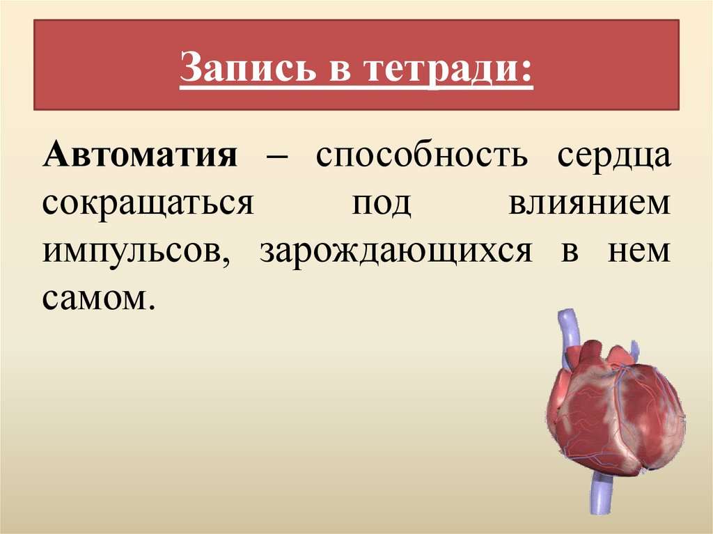 Запись в тетради: