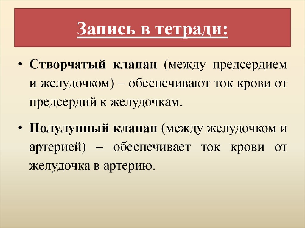 Запись в тетради: